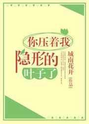 你压着我隐形的翅膀