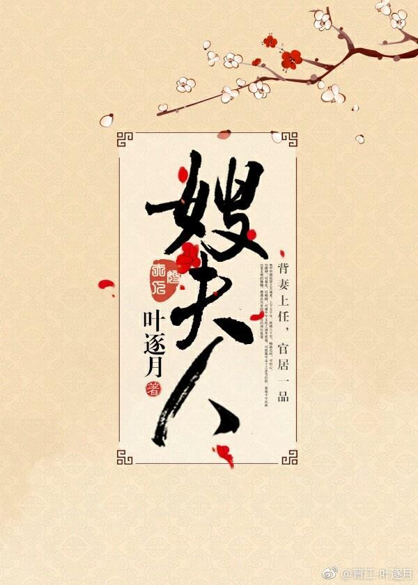 鬼畜作品中元首共有多少个嫂夫人