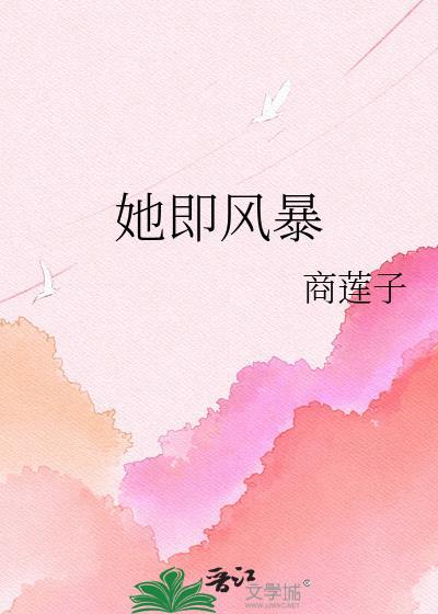 她即风暴全本TXT免费