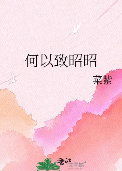 何以致昭昭菜紫免费阅读