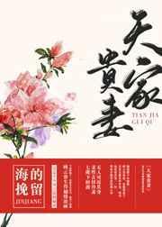 天家贵妻好看吗