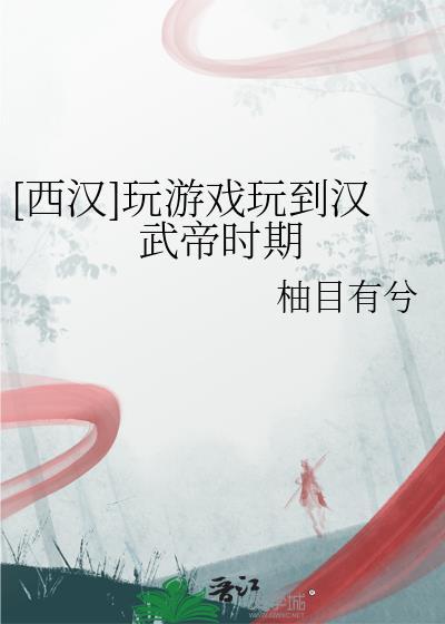 西汉玩游戏玩到汉武帝时期T