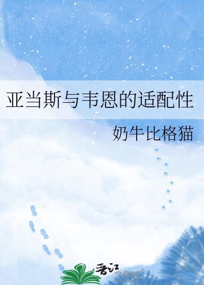 亚当斯与韦恩的适配性综英美晋江