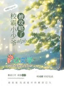 校霸小少爷txt百度