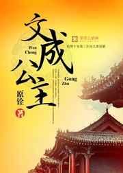 文成公主电视剧
