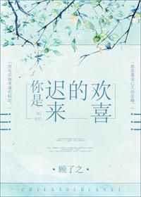 你是迟来的欢喜电视剧在线观看全集