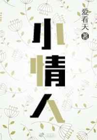 小情人演员表
