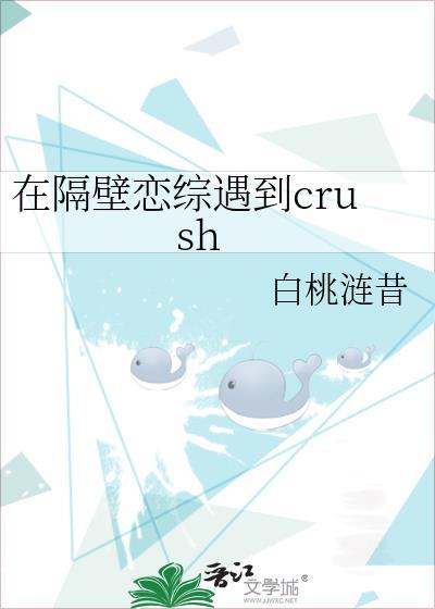 在隔壁恋综遇到crush百度