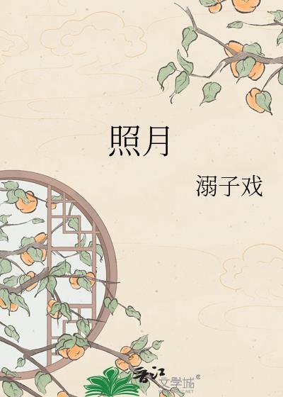 照月书坊全集在线阅读