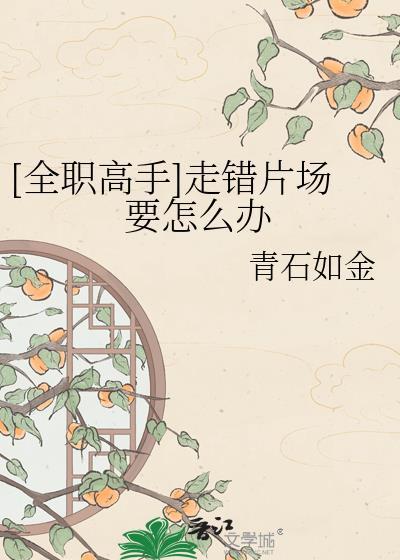 全职高手精彩剪辑