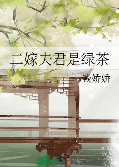 二嫁夫君是绿茶免费阅读全文在线阅读