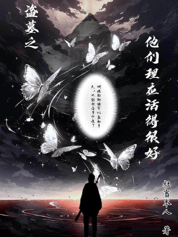 盗墓者说