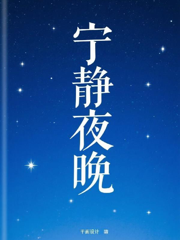 宁静的夜下一句