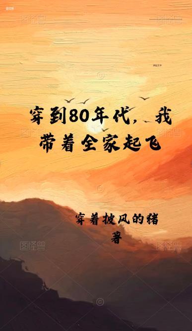 穿到八零年代做外贸免费阅读