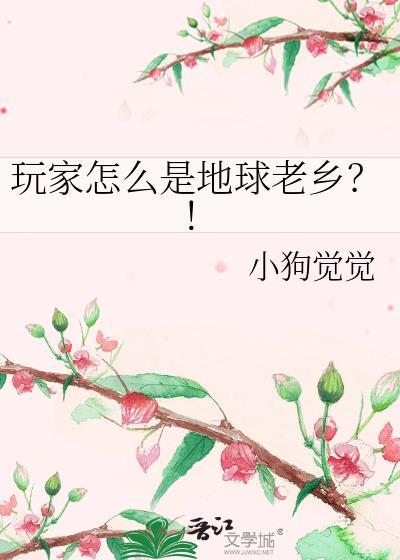 地球玩家是什么意思