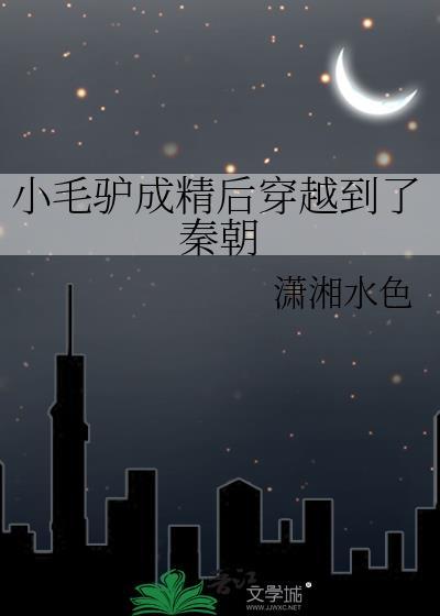 小毛驴gun神