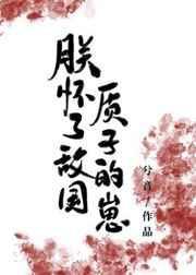 朕怀了敌国皇上的孩子