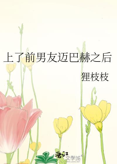 上前男友迈巴赫之后阅读晋江