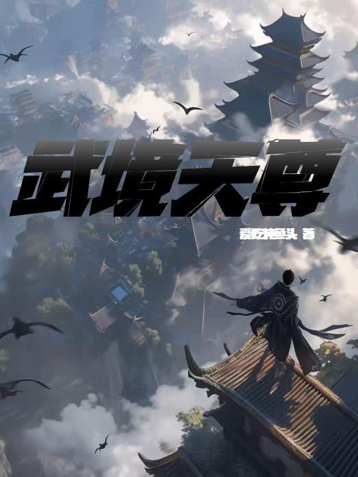 天武境后面是什么