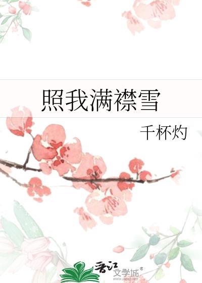 照我满襟雪笔趣阁