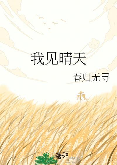 我见晴天txt
