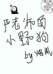 严老师是什么电视剧