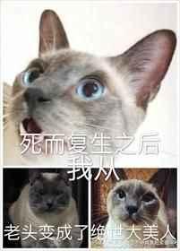 死而复生的我从老头变成