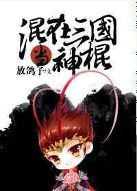混在三国当神棍晋江