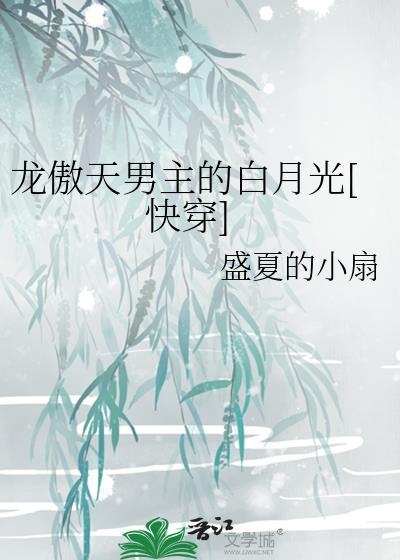 男主龙傲天什么意思