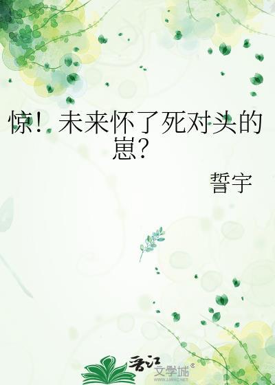 惊!未来怀了死对头的崽?by誓宇