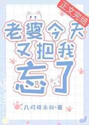 老婆今天又把我忘了免费番外
