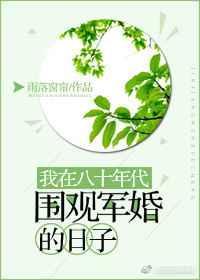 我在八十年代围观军婚的日子讲的什么
