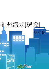 神州龙资讯服务有限公司