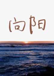 向阳花木
