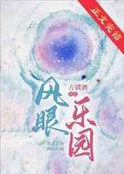 风眼乐园简介