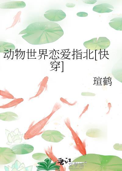 动物世界cp