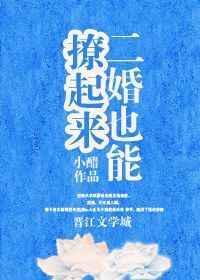 二婚也很甜短剧