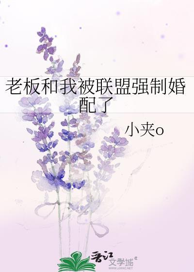 老板与我