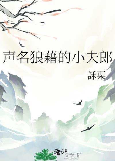 声名狼藉的小夫郎一纸书狂