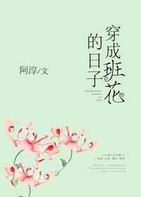 穿成班花的日子在线阅读