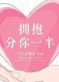 拥抱分你一半主要讲了什么