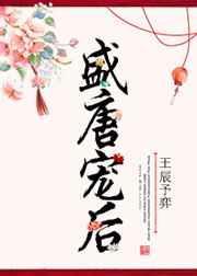 盛宠皇后