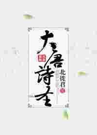 大唐诗圣电视剧