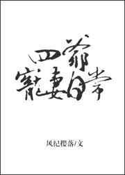 四爷宠妻日常讲的什么