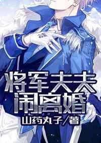 将军夫将军夫人又跑了