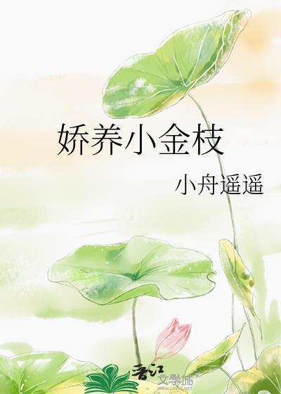 娇养小金枝小舟遥遥裴寂