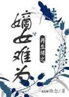 再生缘的番外章节内容
