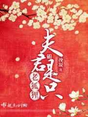 夫君是只狐狸精二次元漫画在线观看