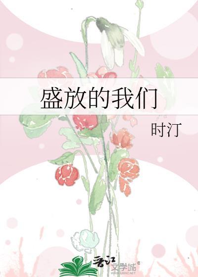 盛放的我们作者时汀