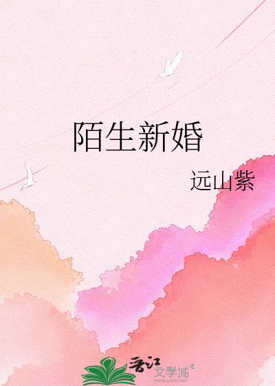 陌生新婚远山txt